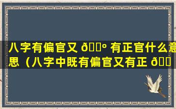 八字有偏官又 🌺 有正官什么意思（八字中既有偏官又有正 🐠 官以哪个为主）